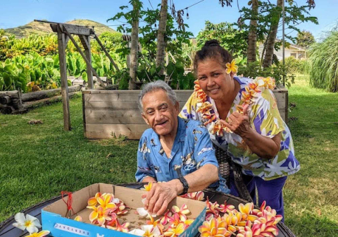 Friends of Hawaii Charities Awards $1.2 Million in Grants